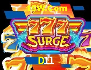 D11 - Support